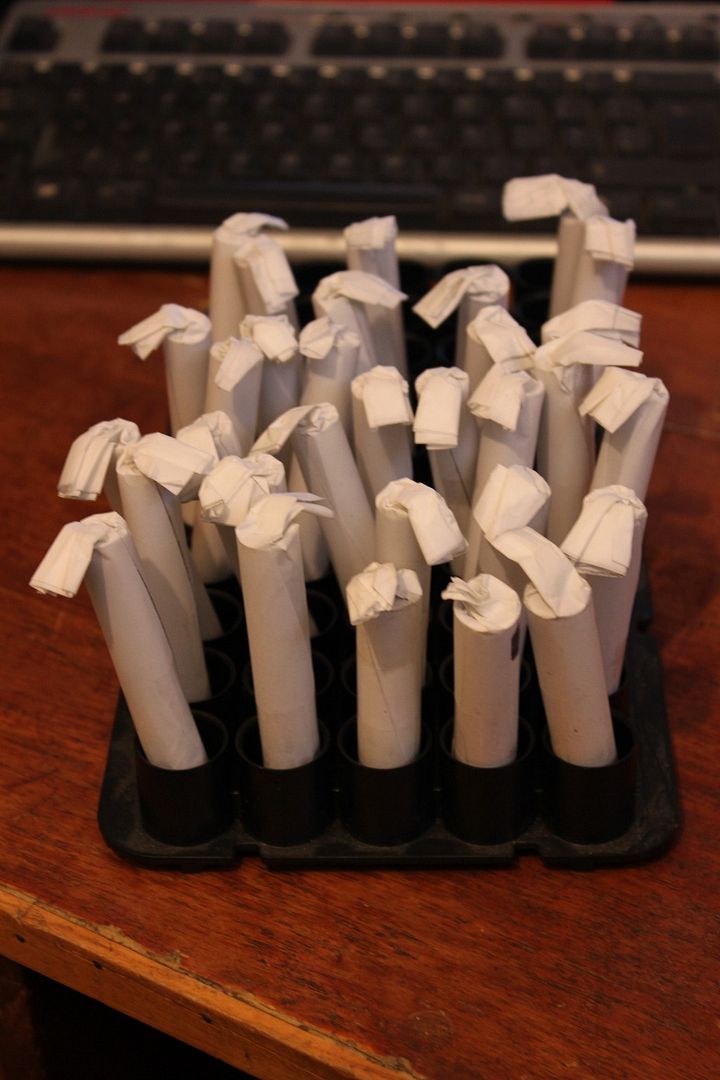 Enfield Pritchett Cartridges part 3